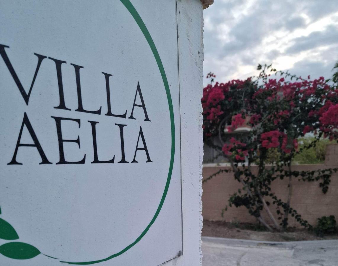Aelia House Kefalos - Cozy & Quiet Kültér fotó